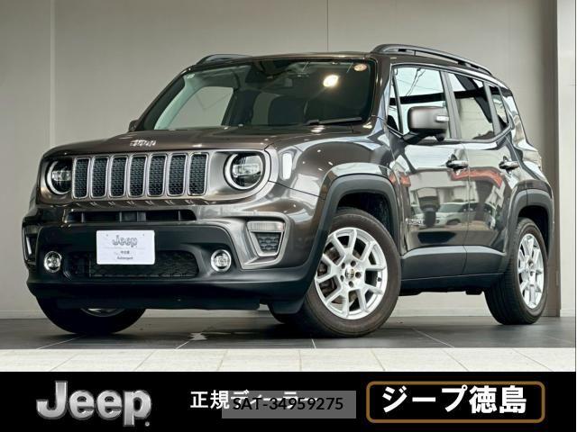 Jeep RENEGADE 2019-11 8130689-0
