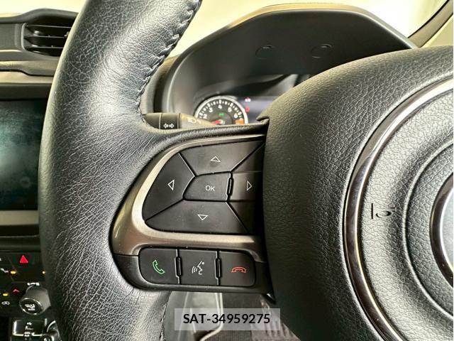 Jeep RENEGADE 2019-11 8130689-17