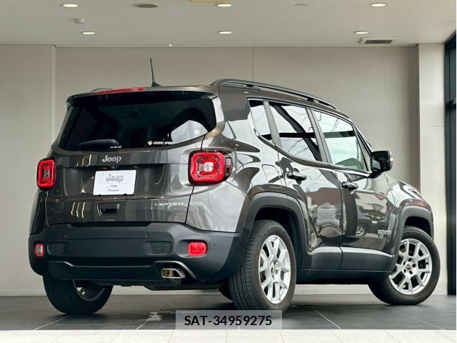 Jeep RENEGADE 2019-11 8130689-1