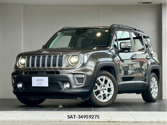 Jeep RENEGADE 2019-11 8130689-5