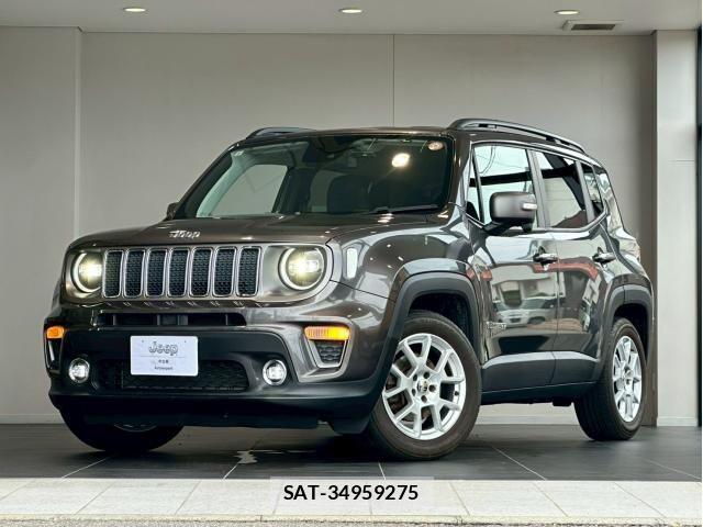 Jeep RENEGADE 2019-11 8130689-6