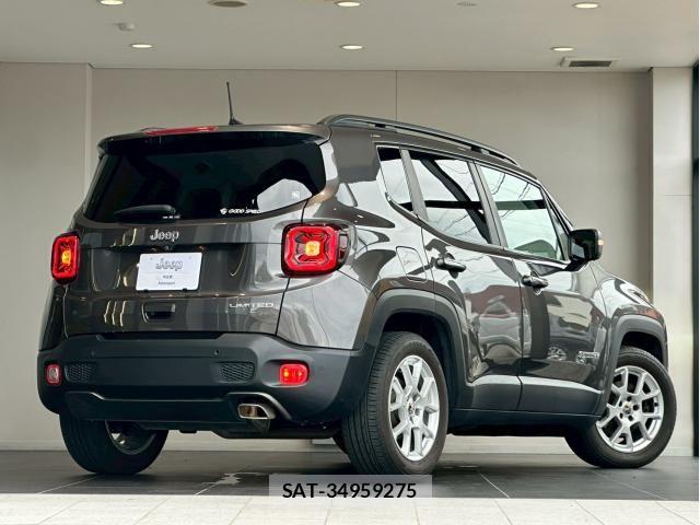 Jeep RENEGADE 2019-11 8130689-7