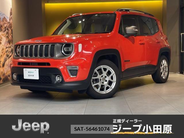 Jeep RENEGADE 2021-06 8130688-0
