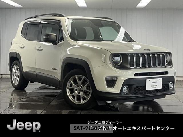 Jeep RENEGADE 2019-01 8208012-0