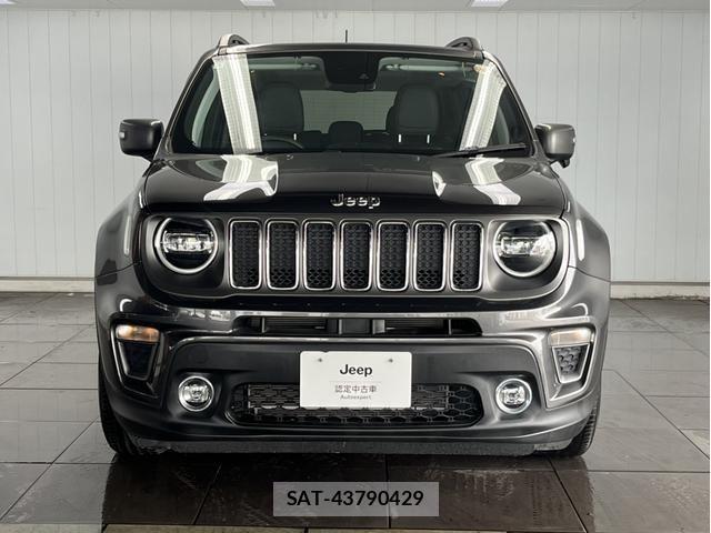Jeep RENEGADE 2020-11 8208005-15