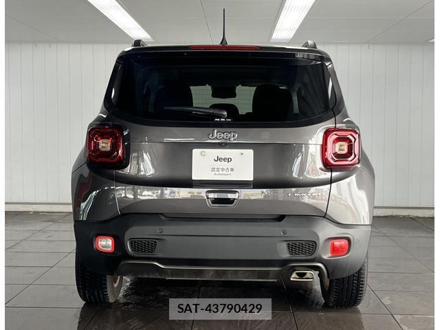 Jeep RENEGADE 2020-11 8208005-16