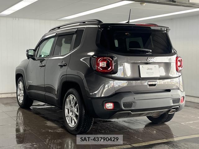 Jeep RENEGADE 2020-11 8208005-2