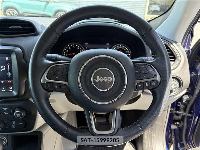 Jeep RENEGADE 2021-06 8208006-13
