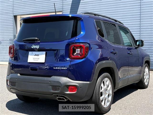 Jeep RENEGADE 2021-06 8208006-4
