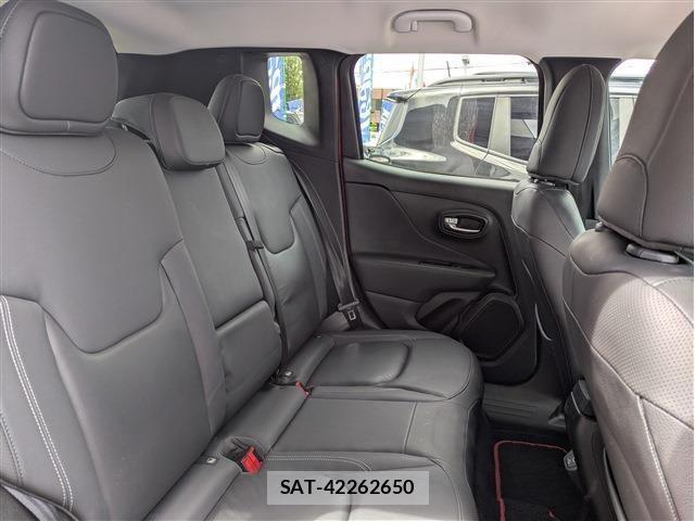 Jeep RENEGADE 2020-06 8208008-10