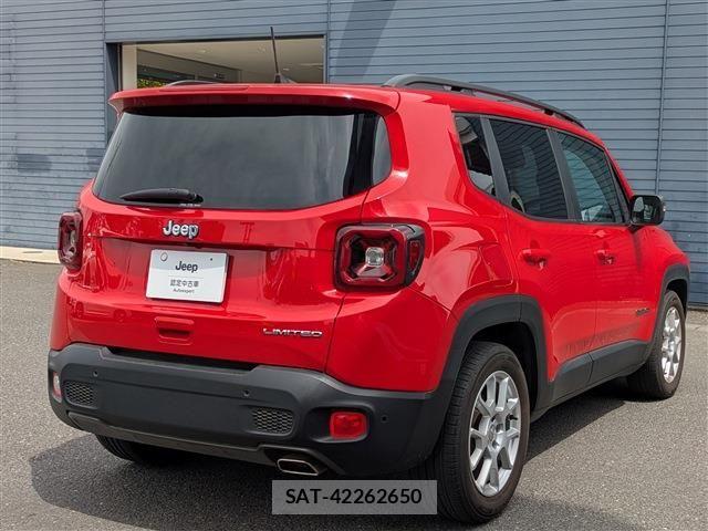 Jeep RENEGADE 2020-06 8208008-4