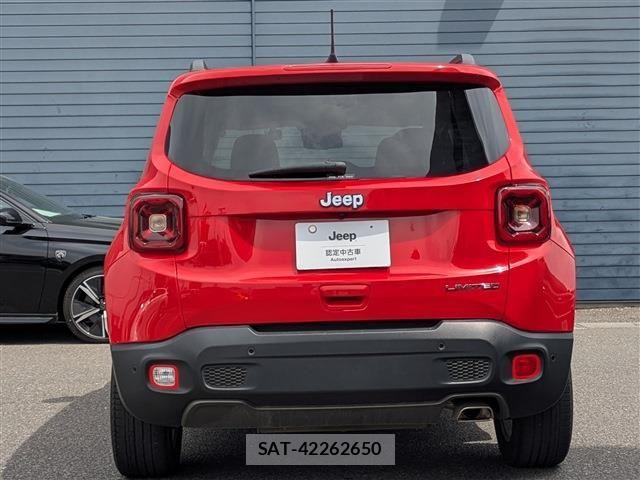 Jeep RENEGADE 2020-06 8208008-5