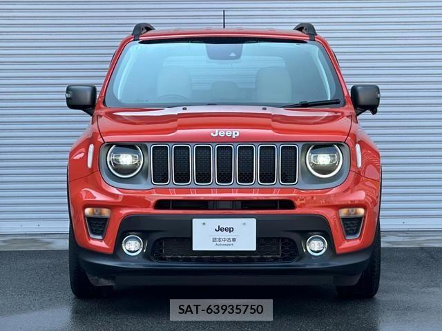 Jeep RENEGADE 2021-09 8208009-15
