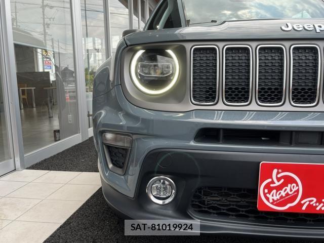 Jeep RENEGADE 2019-02 8245502-14