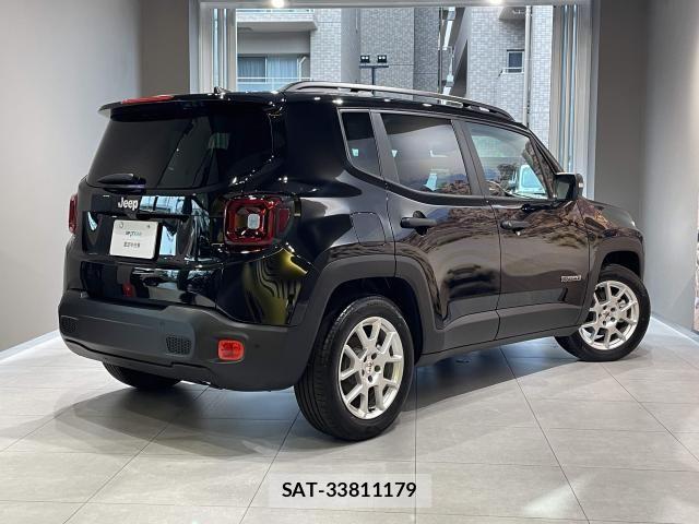 Jeep RENEGADE 1996-03 8354741-2