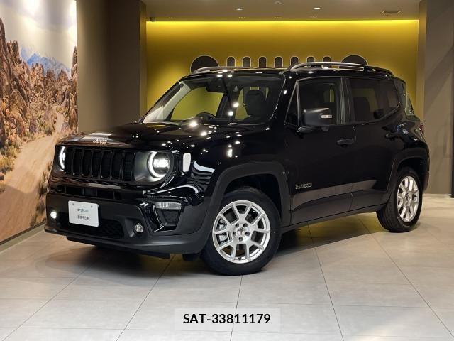Jeep RENEGADE 1996-03 8354741-3