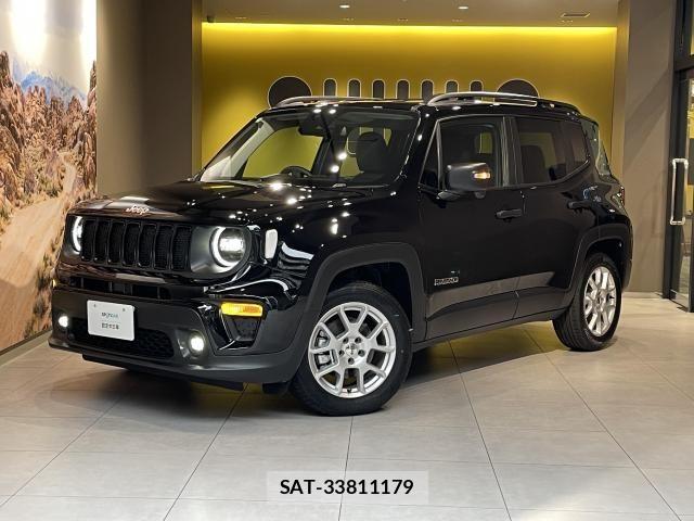 Jeep RENEGADE 1996-03 8354741-4