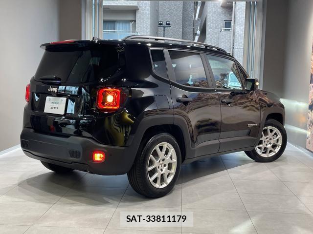 Jeep RENEGADE 1996-03 8354741-7