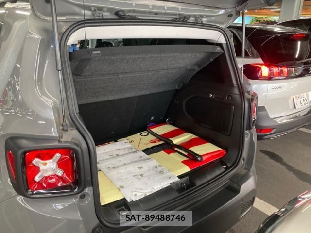Jeep RENEGADE 2019-08 8366443-9