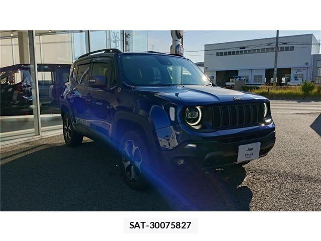 Jeep RENEGADE 2021-07 8627231-2