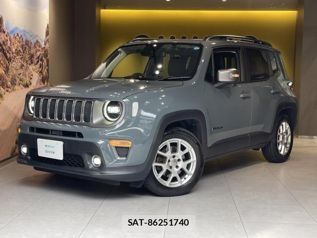 Jeep RENEGADE 2019-03 8659598-4