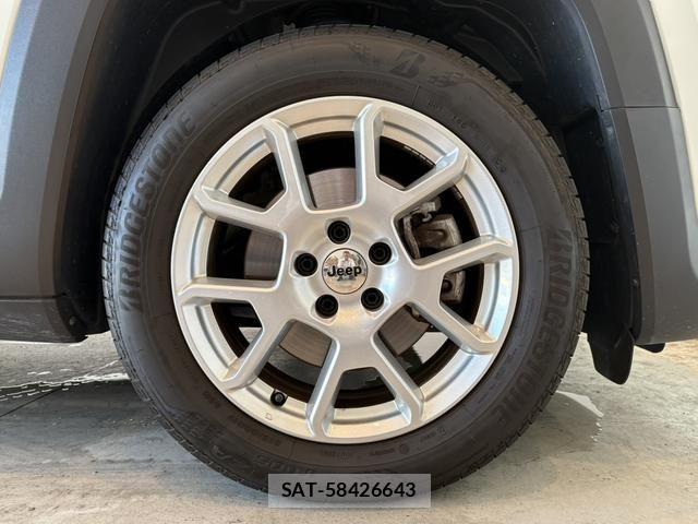 Jeep RENEGADE 2024-02 8742915-16