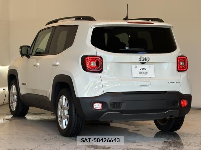 Jeep RENEGADE 2024-02 8742915-2