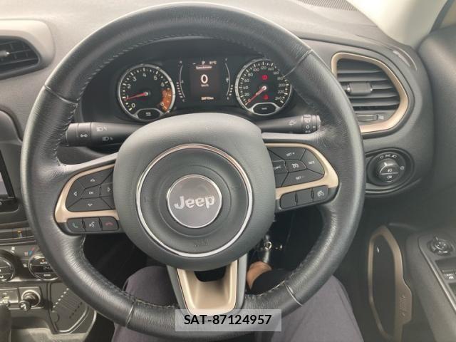 Jeep RENEGADE 2016-10 8880211-15