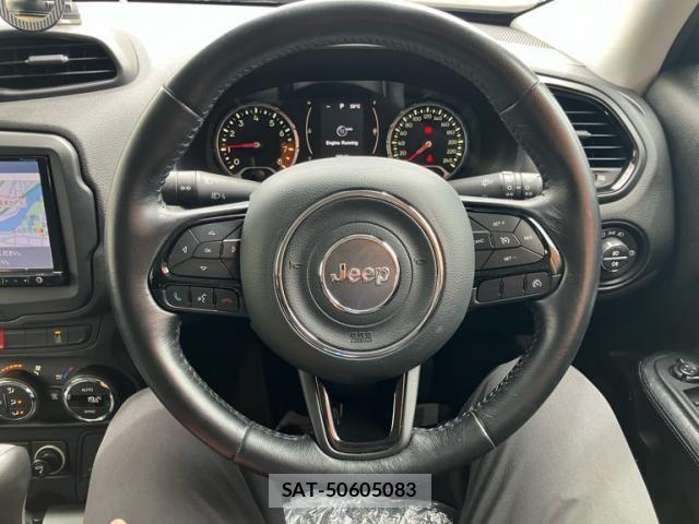 Jeep RENEGADE 2016-09 8880212-16