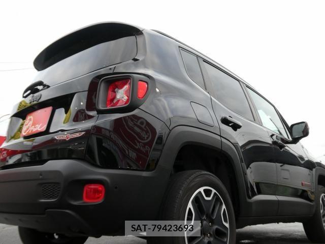 Jeep RENEGADE 2016-04 7220063-15