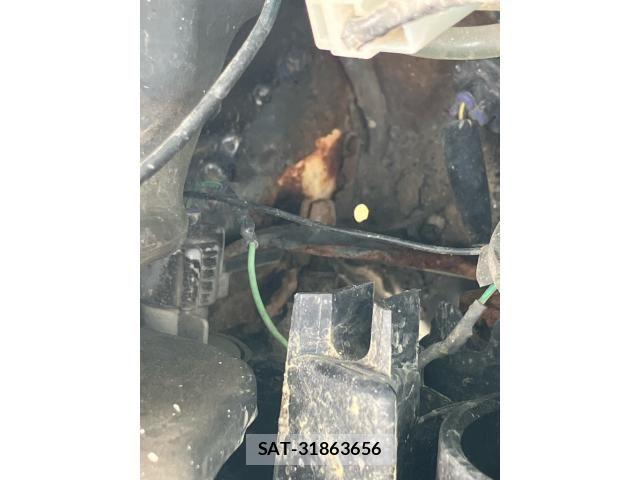 Suzuki JIMNY 2008-09 8314965-19