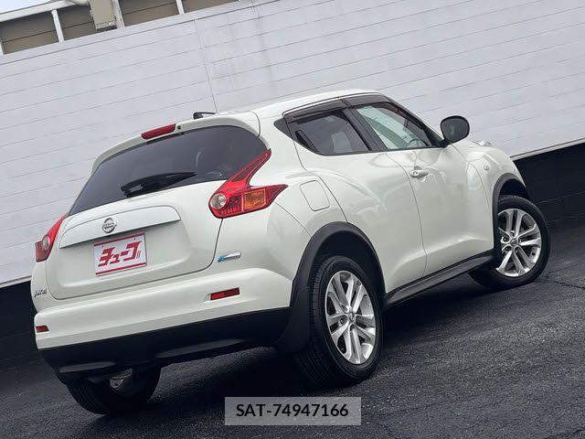 Nissan JUKE 2010-11 5870187-2