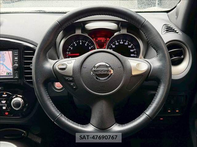 Nissan JUKE 2017-06 6002167-13