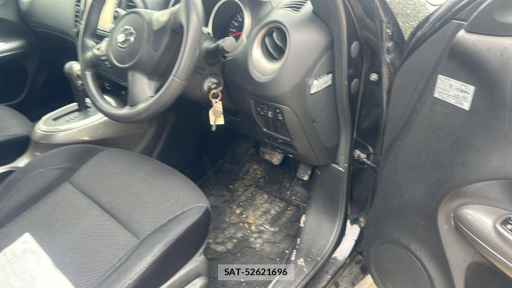 Nissan JUKE 2011 7075120-13