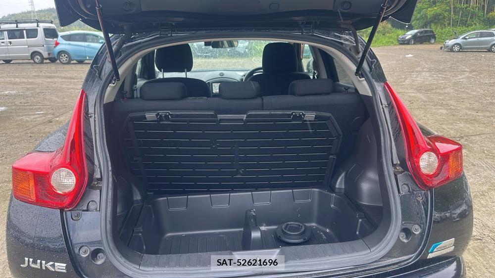 Nissan JUKE 2011 7075120-22