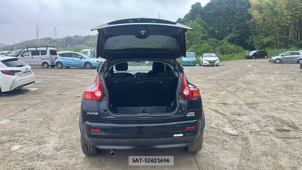 Nissan JUKE 2011 7075120-23