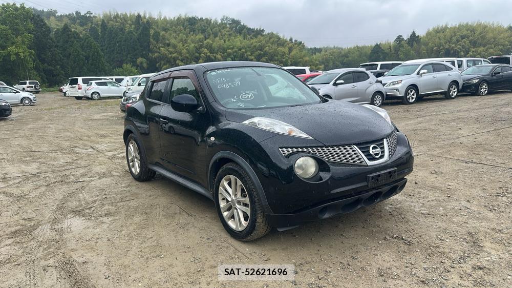 Nissan JUKE 2011 7075120-6