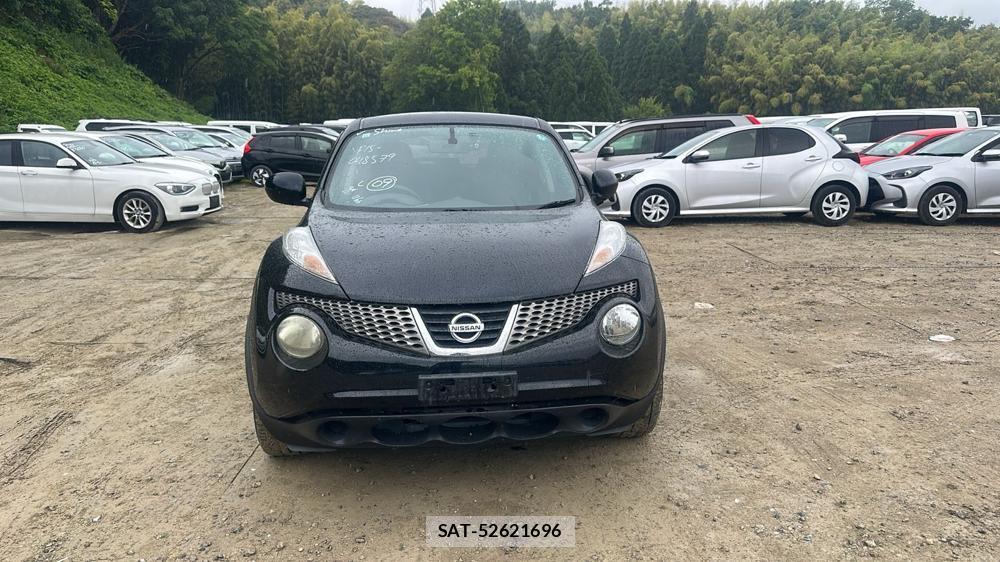Nissan JUKE 2011 7075120-7