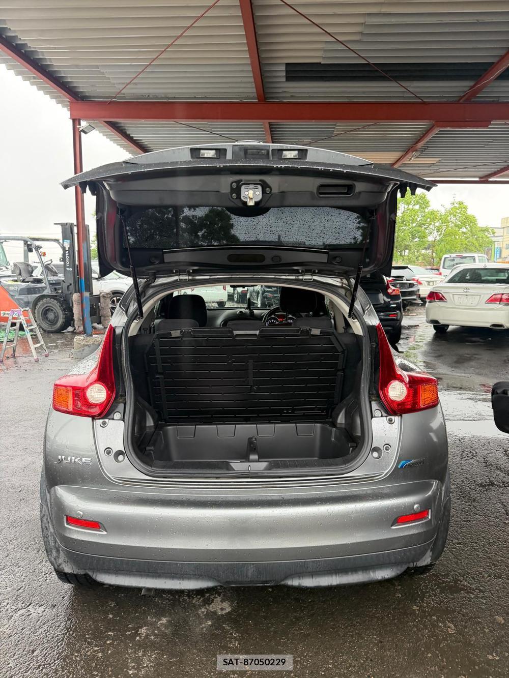Nissan JUKE 2013 7180507-21