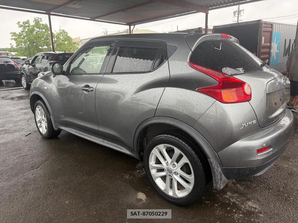 Nissan JUKE 2013 7180507-2