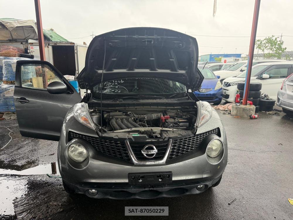Nissan JUKE 2013 7180507-29