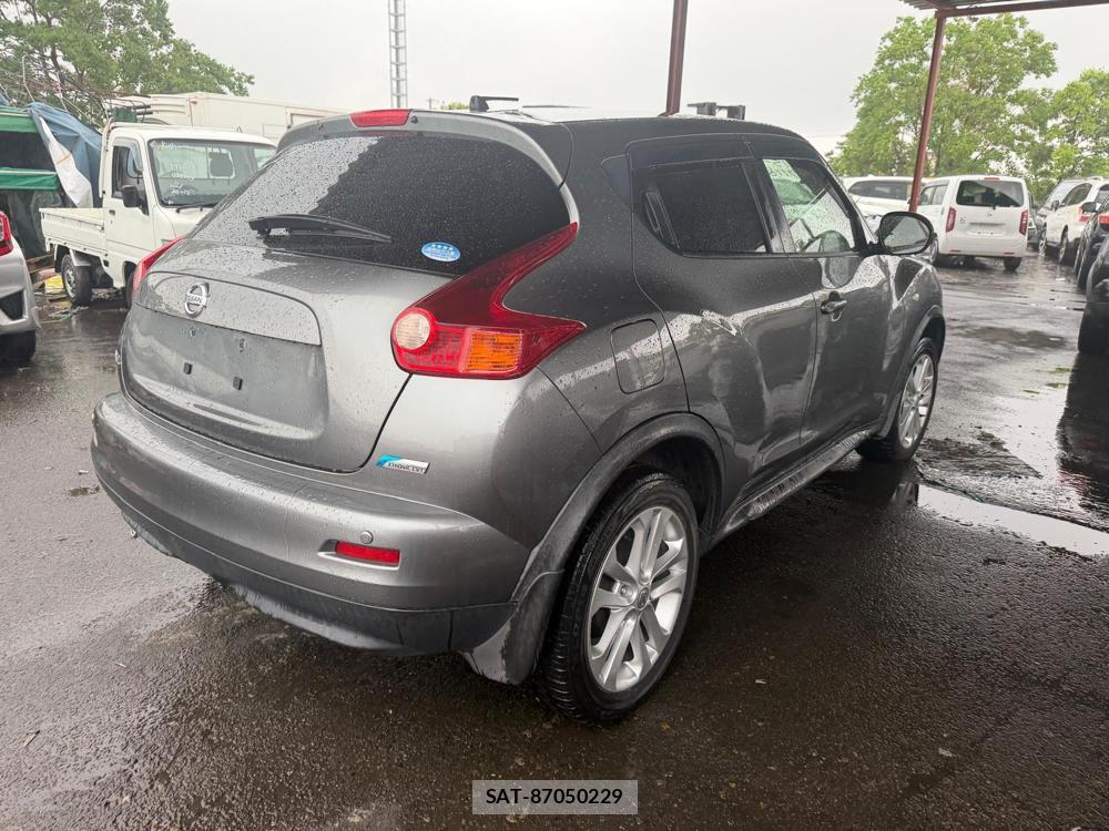 Nissan JUKE 2013 7180507-4