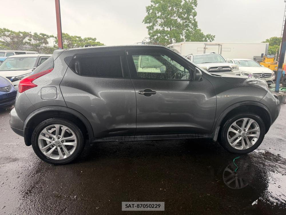 Nissan JUKE 2013 7180507-5