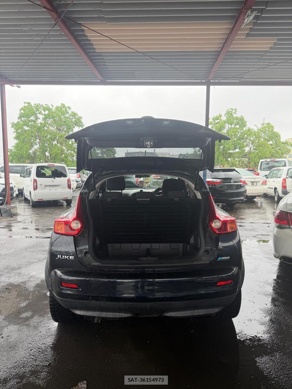 Nissan JUKE 2011 7103012-17