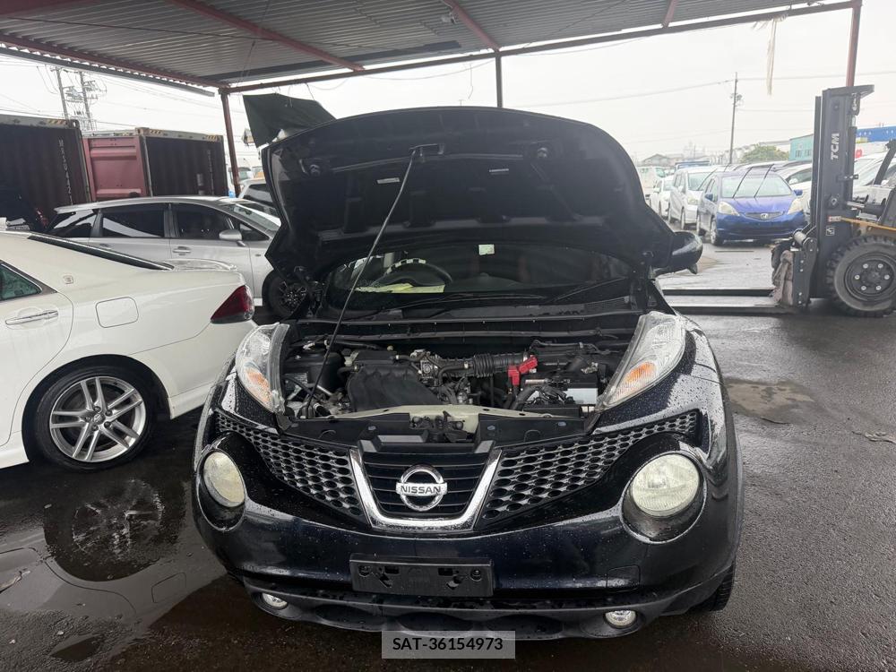 Nissan JUKE 2011 7103012-22
