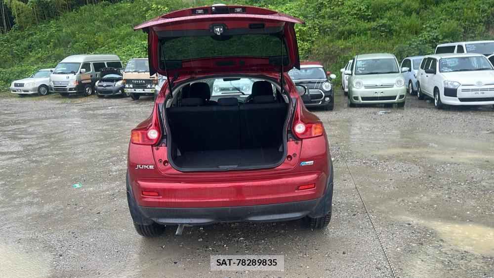 Nissan JUKE 2011 7230114-23
