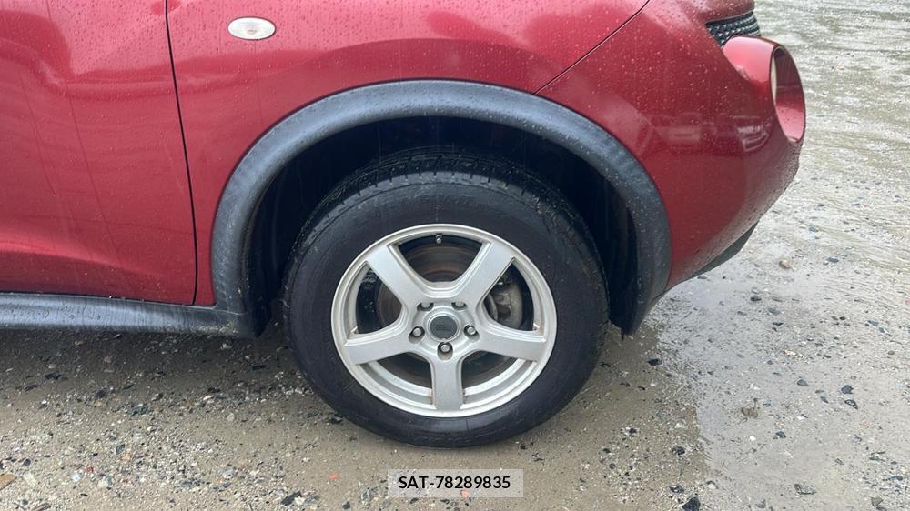 Nissan JUKE 2011 7230114-25