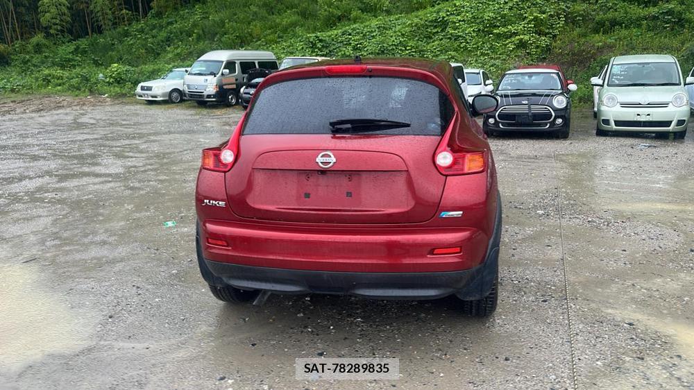 Nissan JUKE 2011 7230114-3