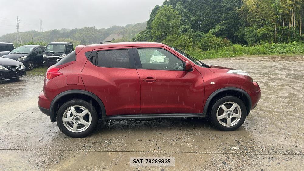 Nissan JUKE 2011 7230114-5
