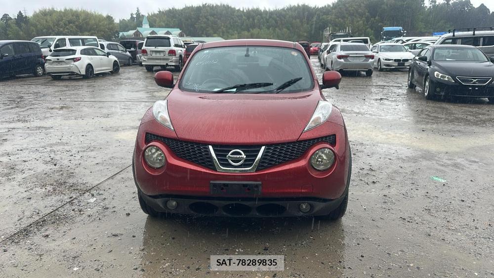 Nissan JUKE 2011 7230114-7